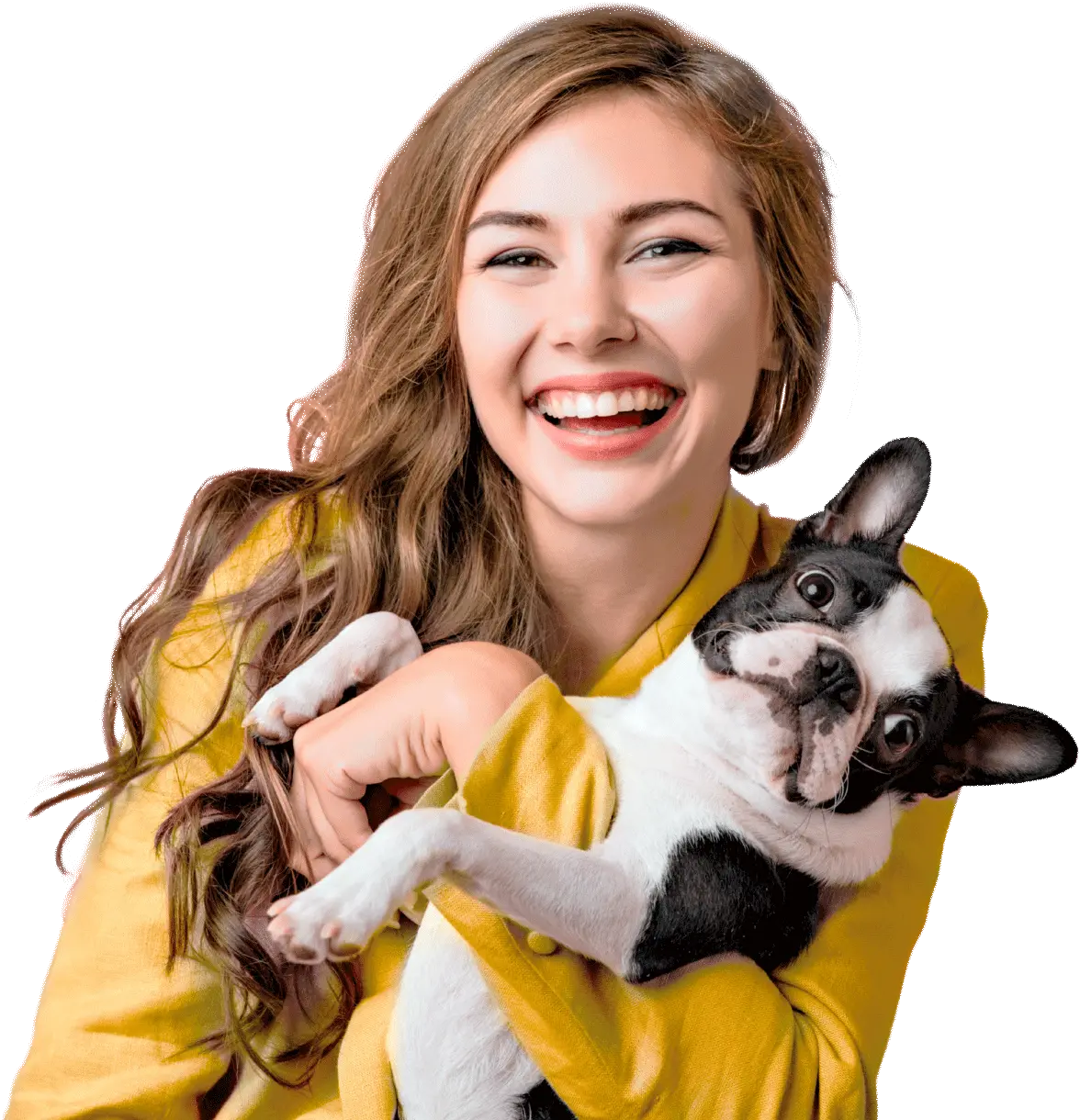 SANFE - Atendimento Veterinário