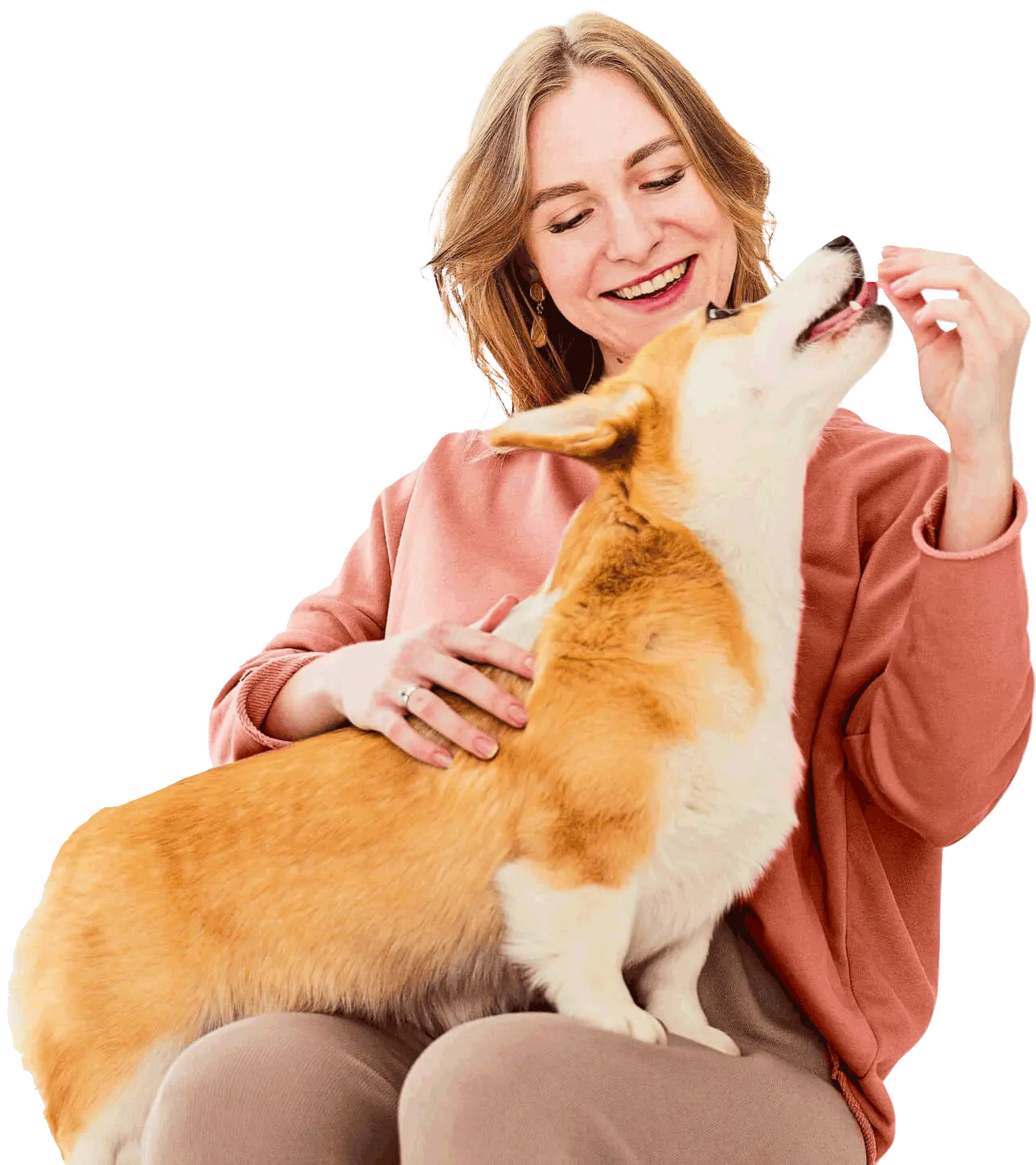 SANFE - Atendimento Veterinário